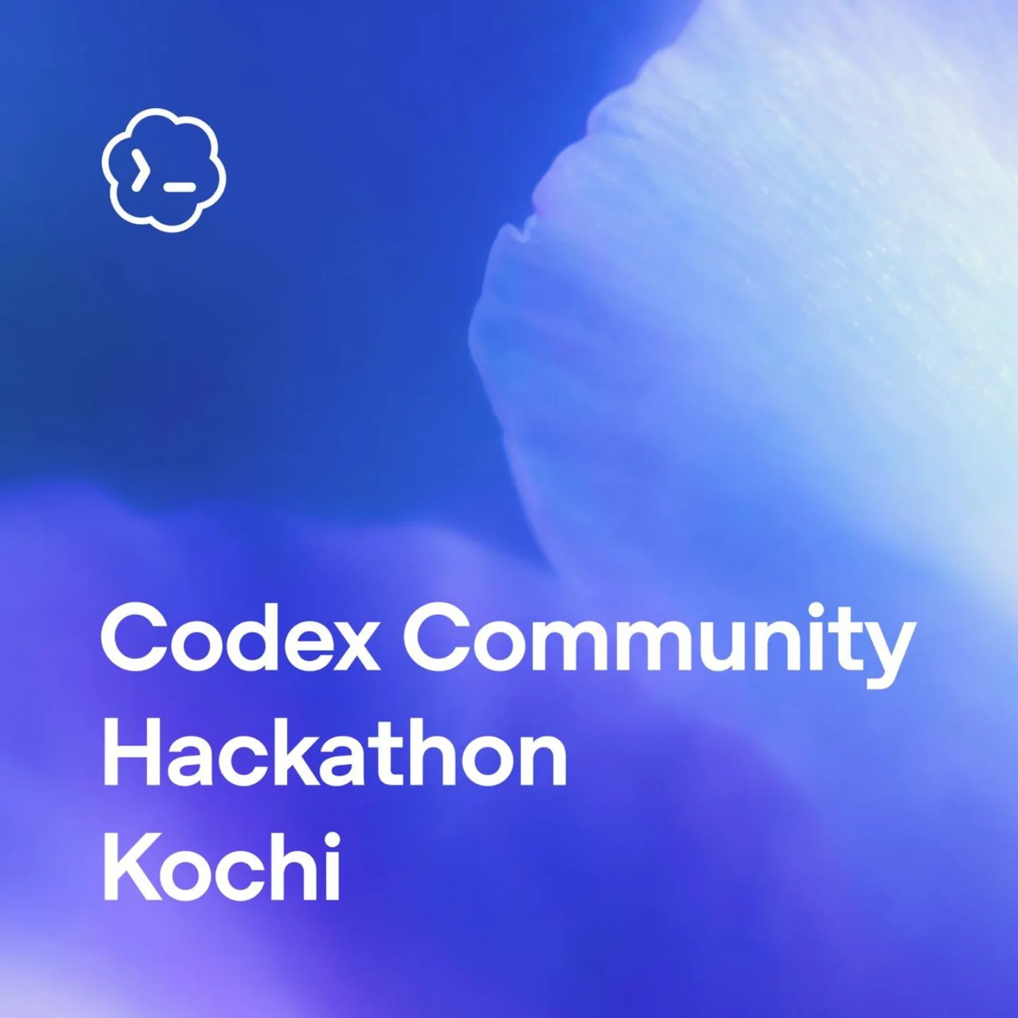 Codex Community Hackathon event visual